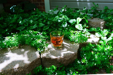 What Is an Allocated Bourbon