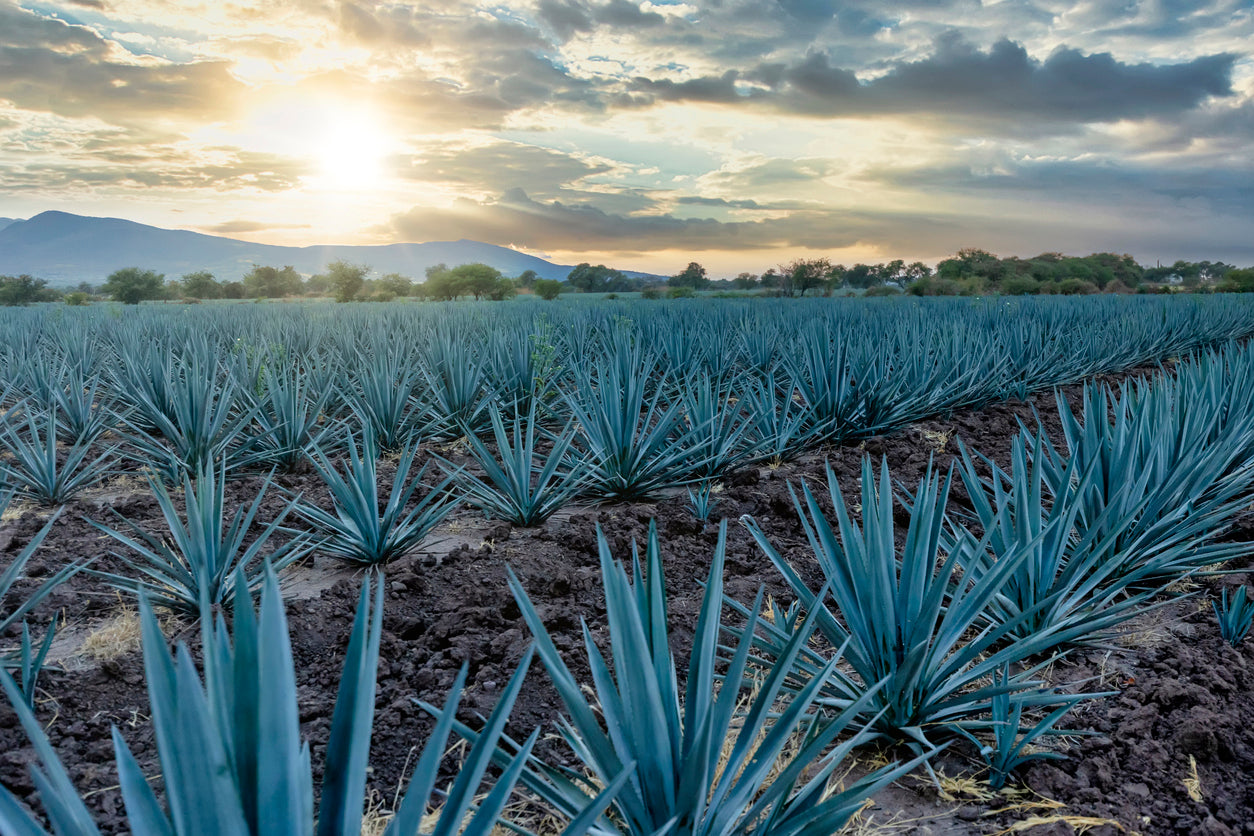 What Is Additive-Free Tequila?