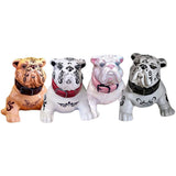 Mascota Tequila Bundle 