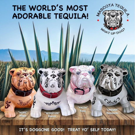 Mascota Tequila Bundle 
